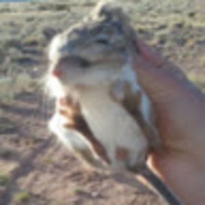 Meet your Posher, Dylan